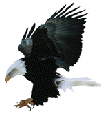 Click On The Eagle